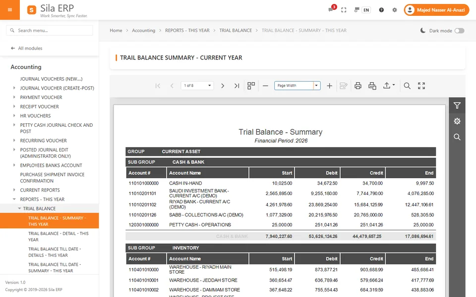 Trial balance report in the built-in report viewer